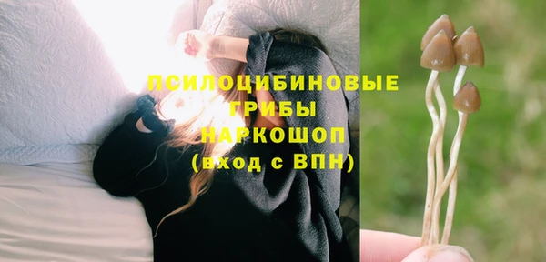 соль ск Белоозёрский