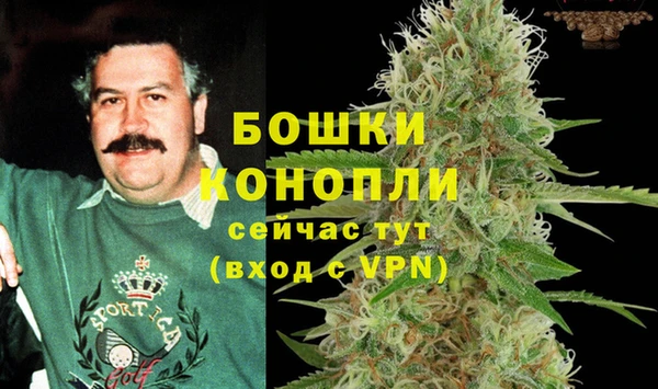 spice Тавда