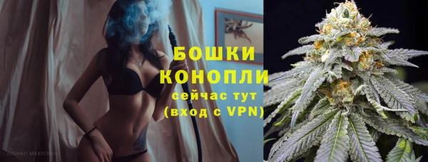 прущая мука Богородск