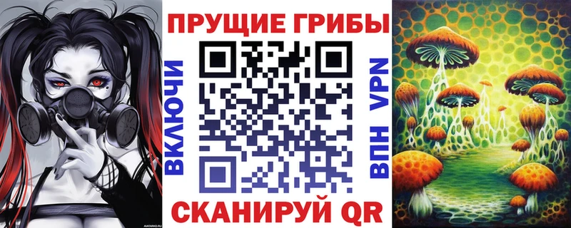 что такое   Павловск  Галлюциногенные грибы Cubensis 