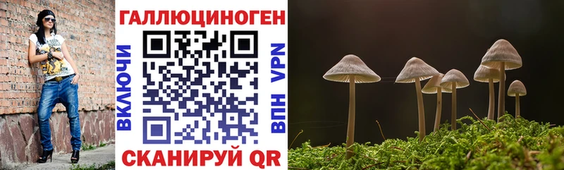 Псилоцибиновые грибы мухоморы Павловск