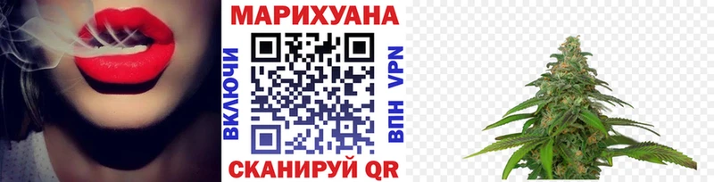 Шишки марихуана план блэк спрут ссылки Павловск